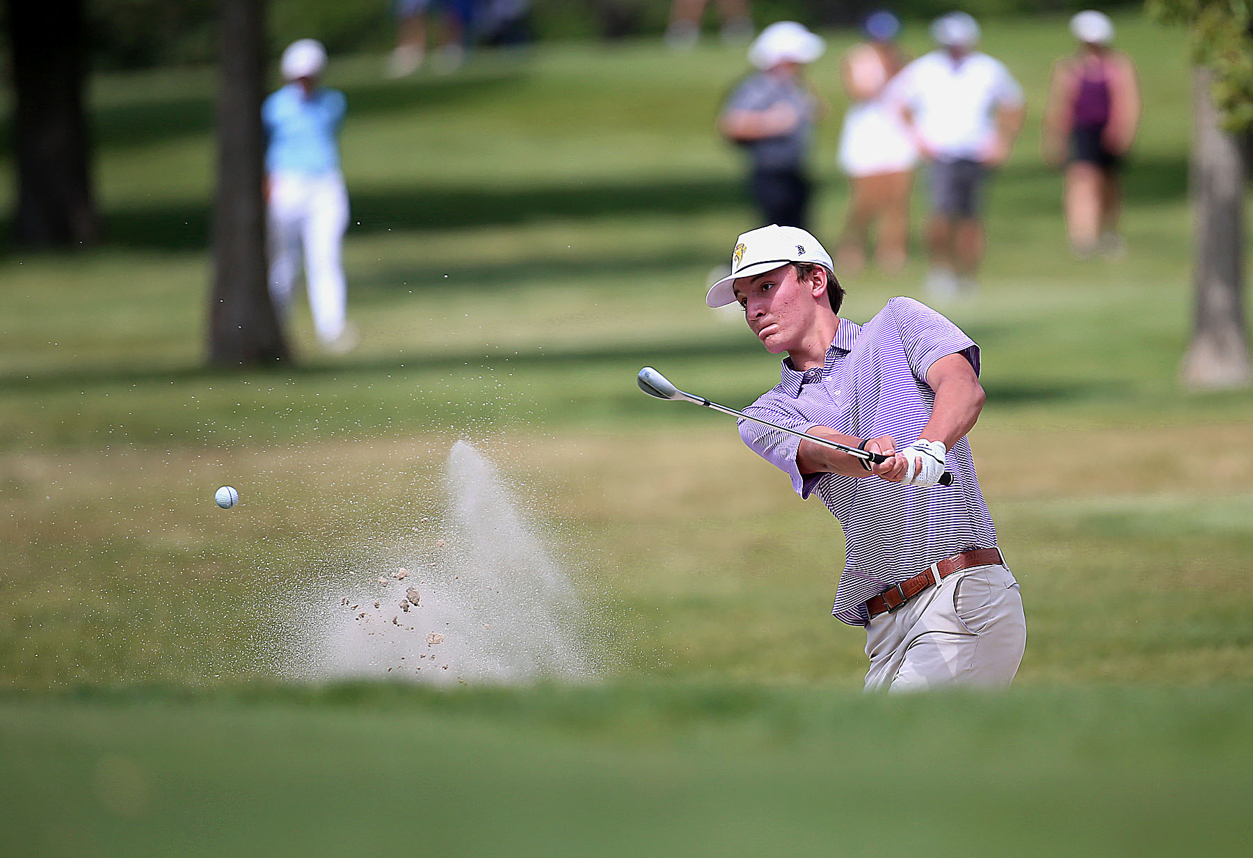PHOTO GALLERY: State B boys golf 